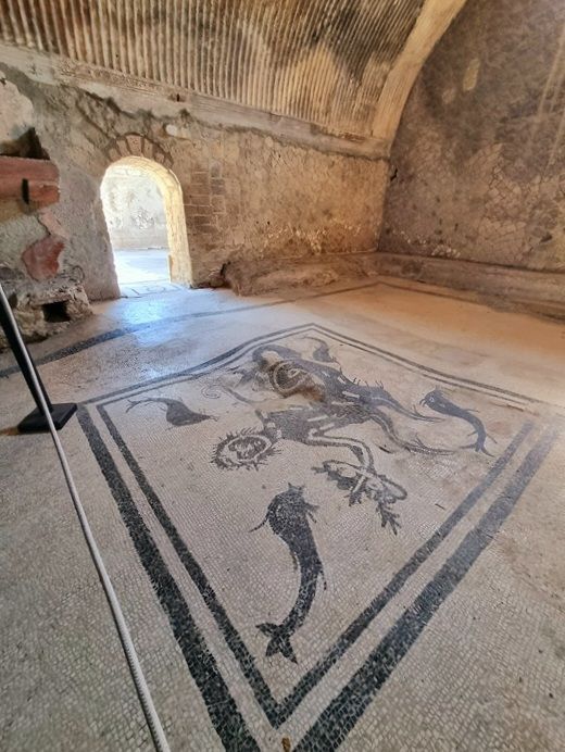 Tepidarium de las Termas Masculinas de Herculano con mosaico de Tritón rodeado de delfines