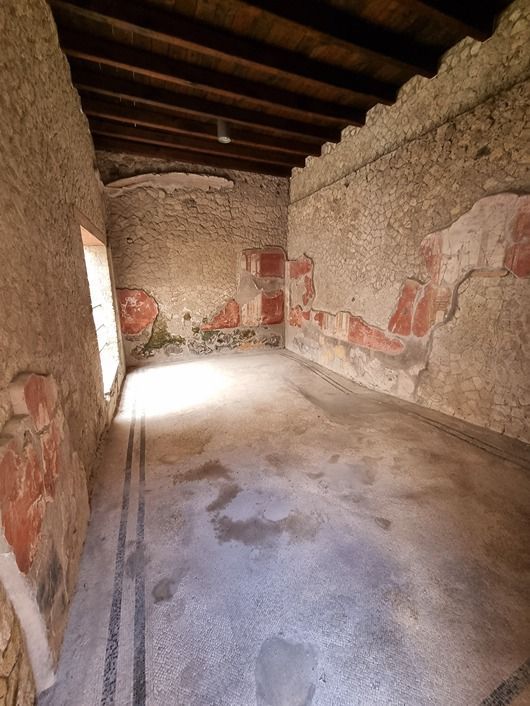 Frescos decorativos en la Casa de Neptuno y Anfitrite: plantas y animales en Herculano